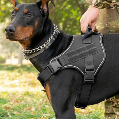 Harnais pour chien