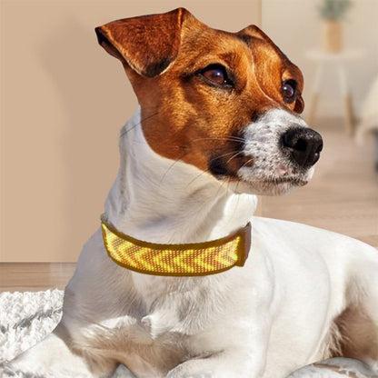 Collier lumineux chien 