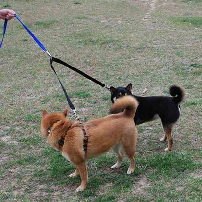 Laisse double pour chien